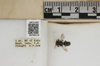 Media type: image;   Entomology 790119 Aspect: Labels